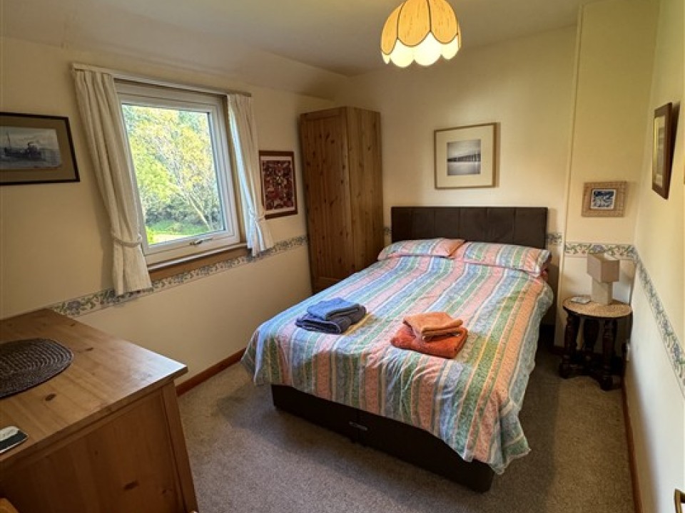 IMG_1705 (540 x 720)